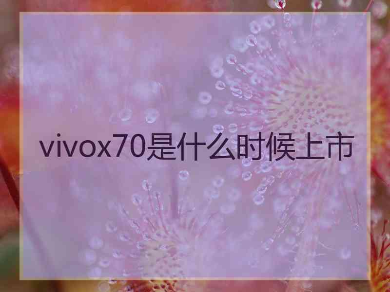 vivox70是什么时候上市