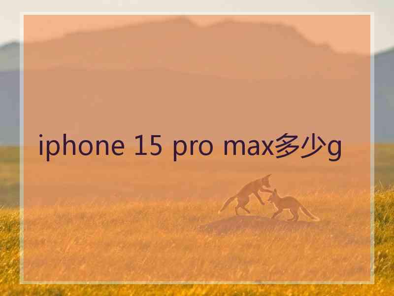 iphone 15 pro max多少g