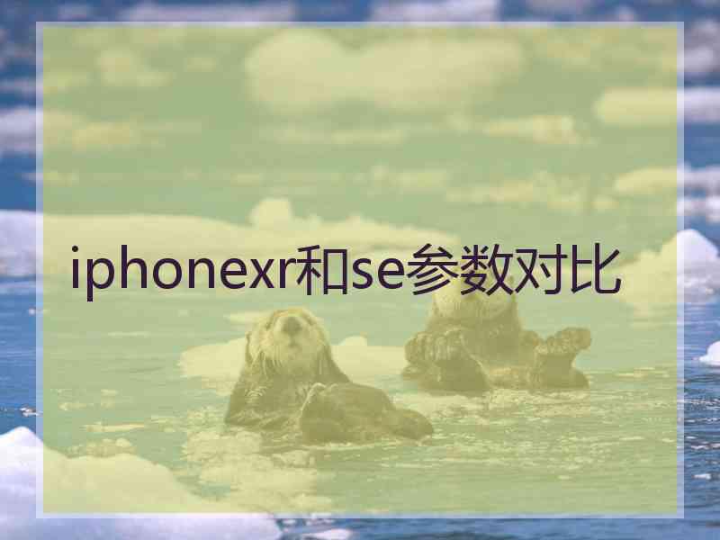 iphonexr和se参数对比