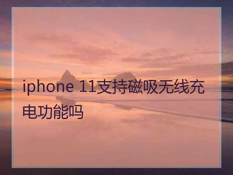 iphone 11支持磁吸无线充电功能吗