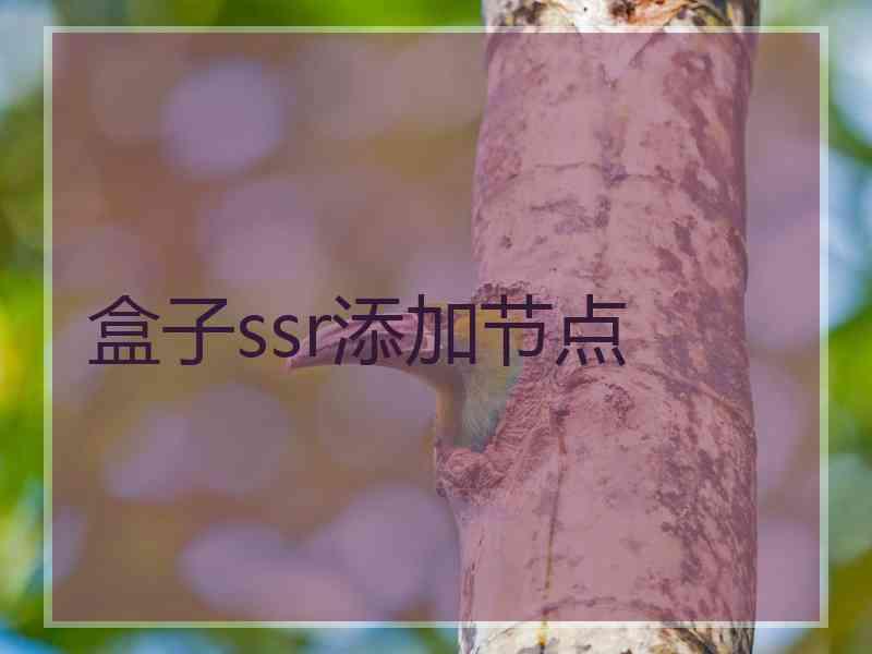 盒子ssr添加节点