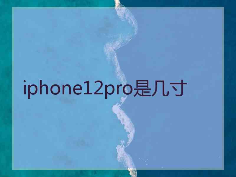 iphone12pro是几寸