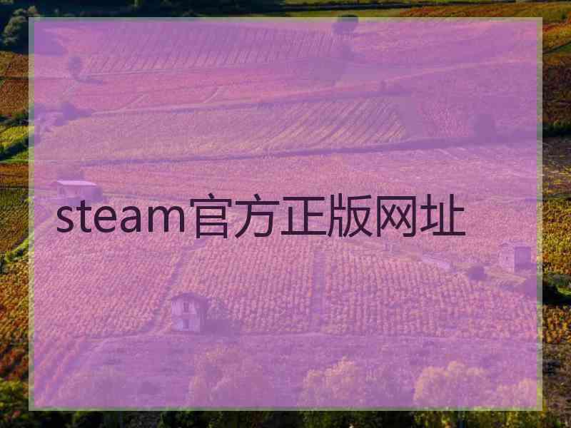 steam官方正版网址