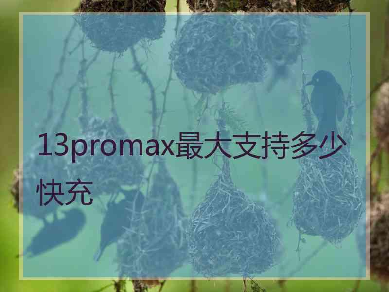 13promax最大支持多少快充