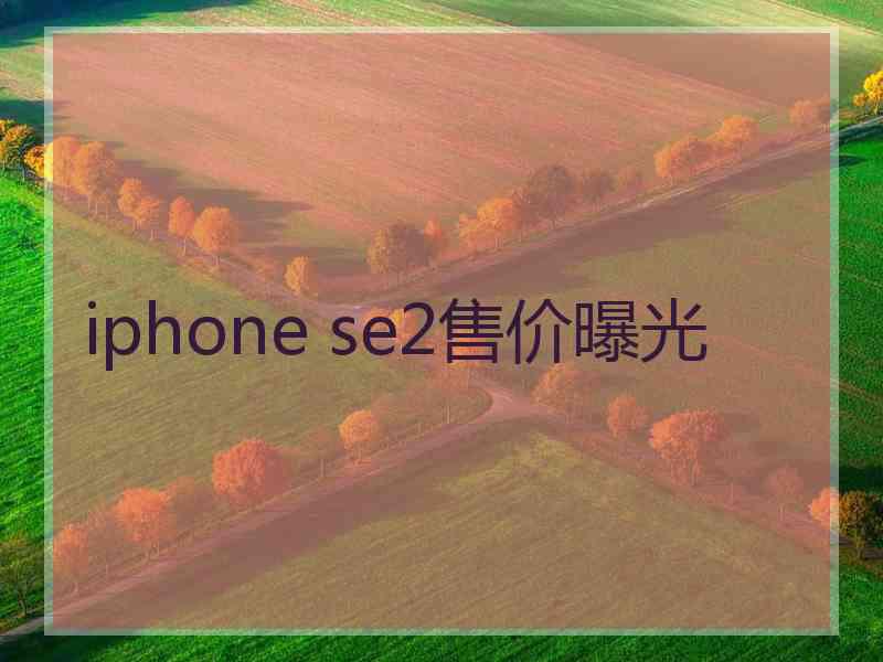 iphone se2售价曝光