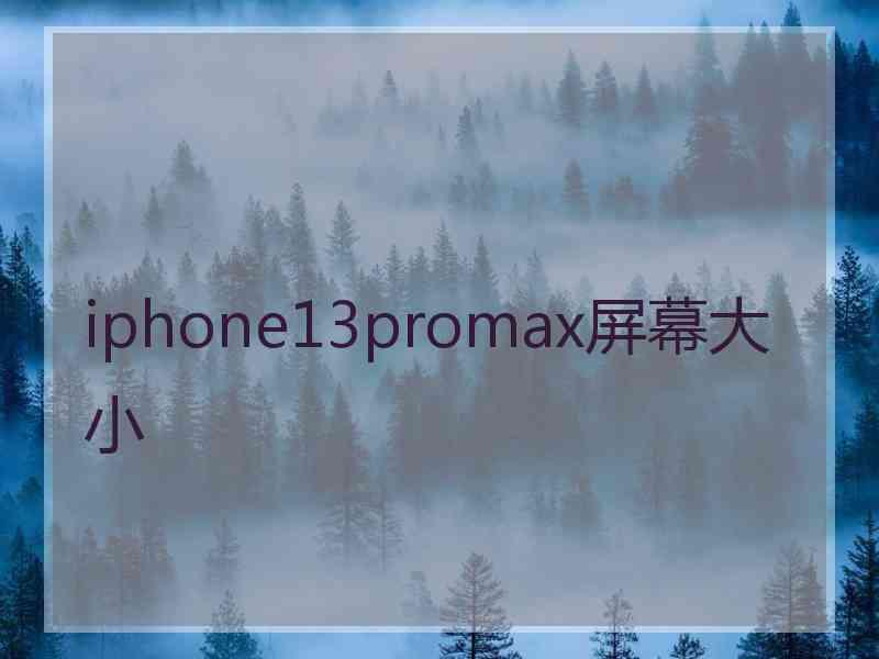 iphone13promax屏幕大小