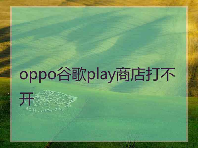 oppo谷歌play商店打不开