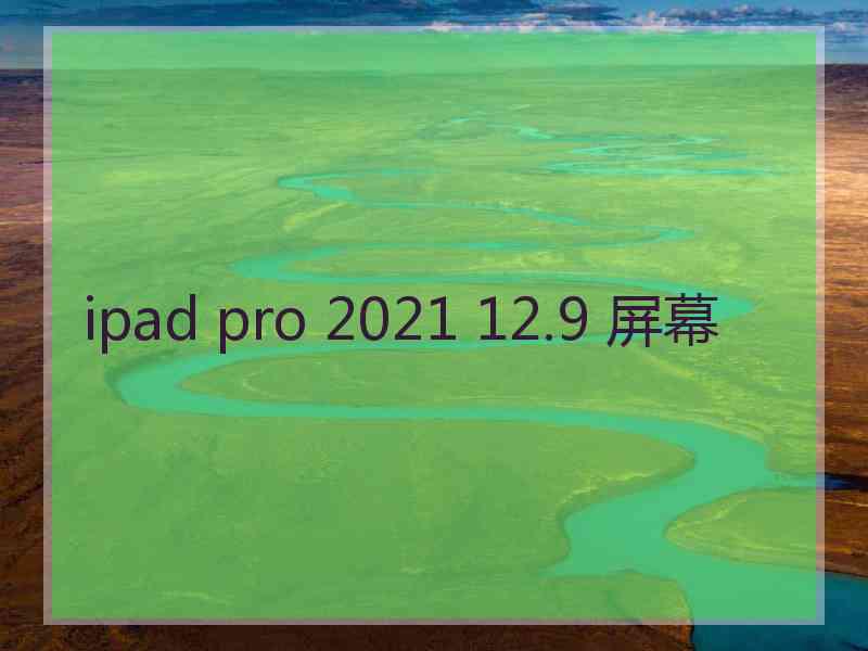 ipad pro 2021 12.9 屏幕