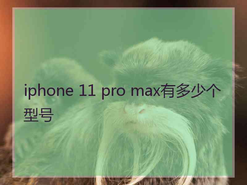 iphone 11 pro max有多少个型号