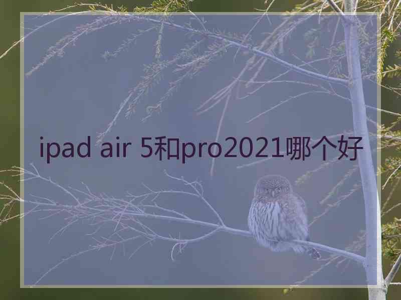 ipad air 5和pro2021哪个好