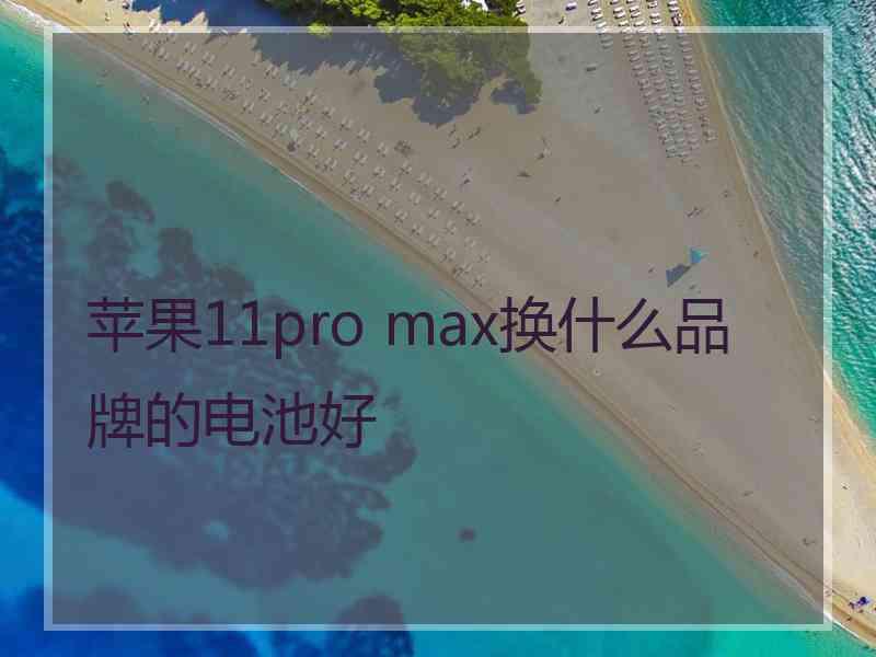 苹果11pro max换什么品牌的电池好