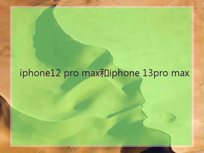 iphone12 pro max和iphone 13pro max