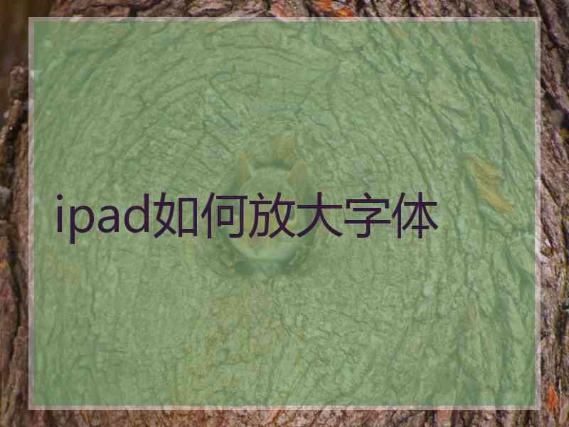 ipad如何放大字体