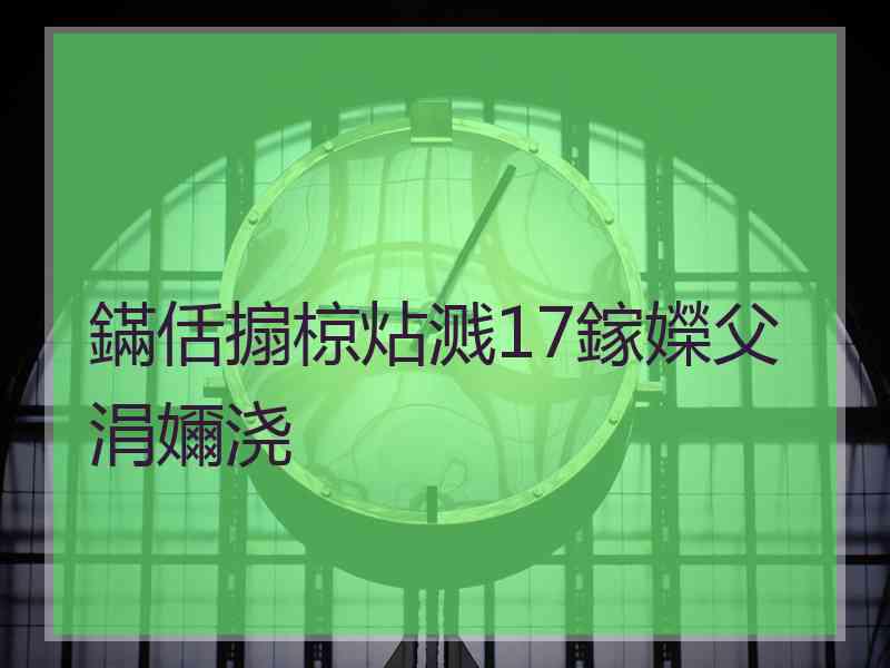 鏋佸搧椋炶溅17鎵嬫父涓嬭浇