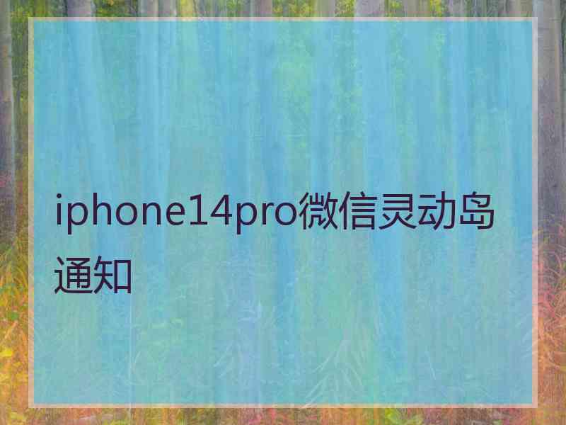 iphone14pro微信灵动岛通知