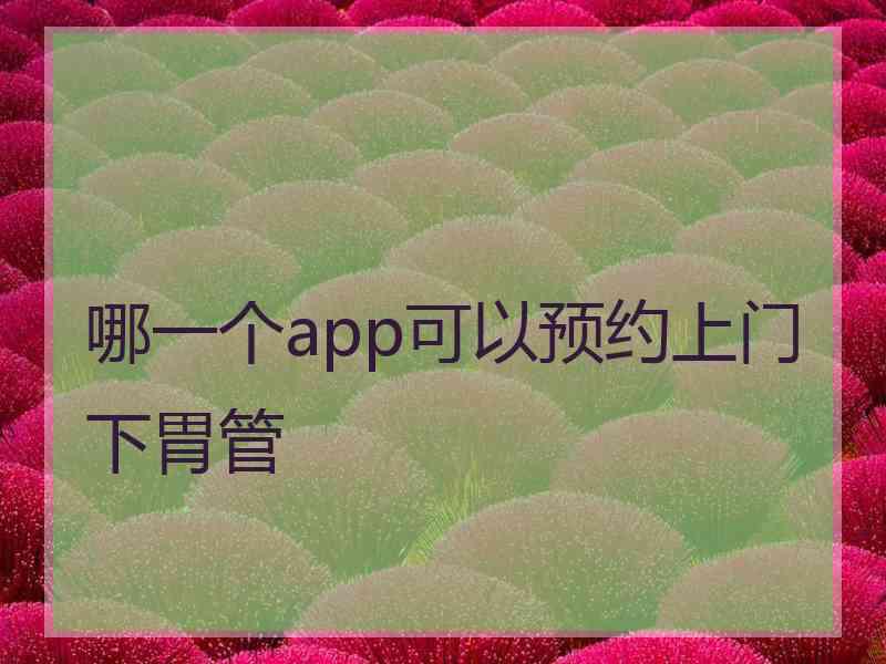 哪一个app可以预约上门下胃管