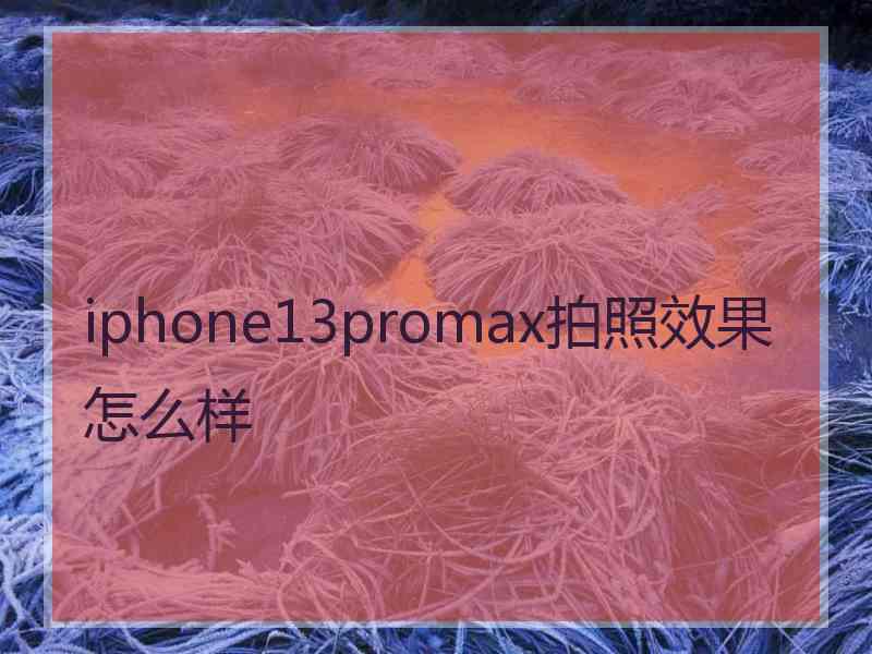 iphone13promax拍照效果怎么样