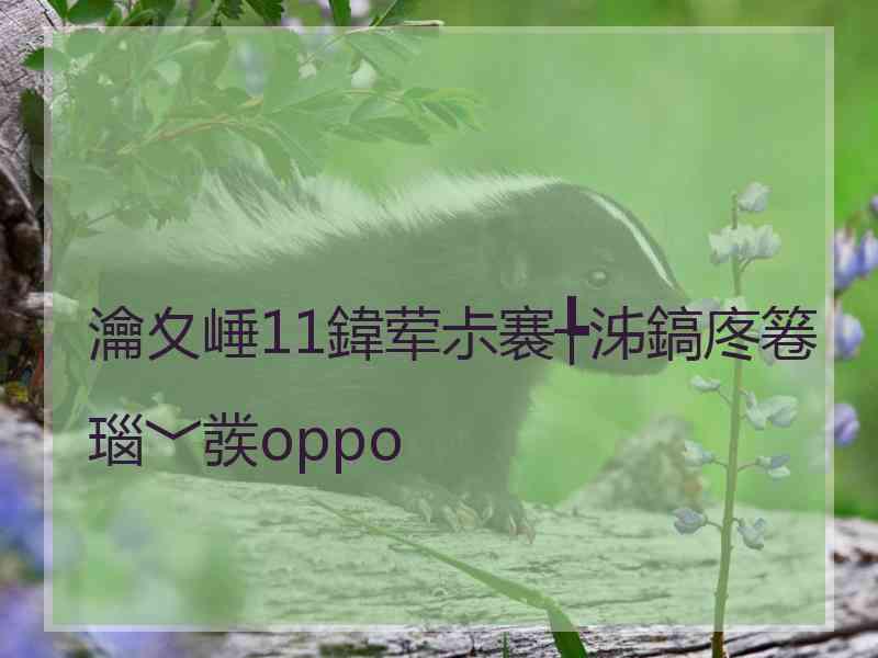 瀹夊崜11鍏荤尗褰╄泲鎬庝箞瑙﹀彂oppo