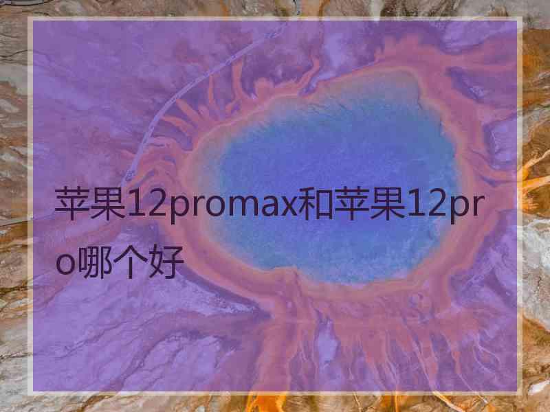 苹果12promax和苹果12pro哪个好