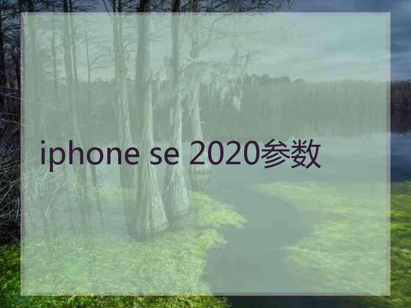 iphone se 2020参数