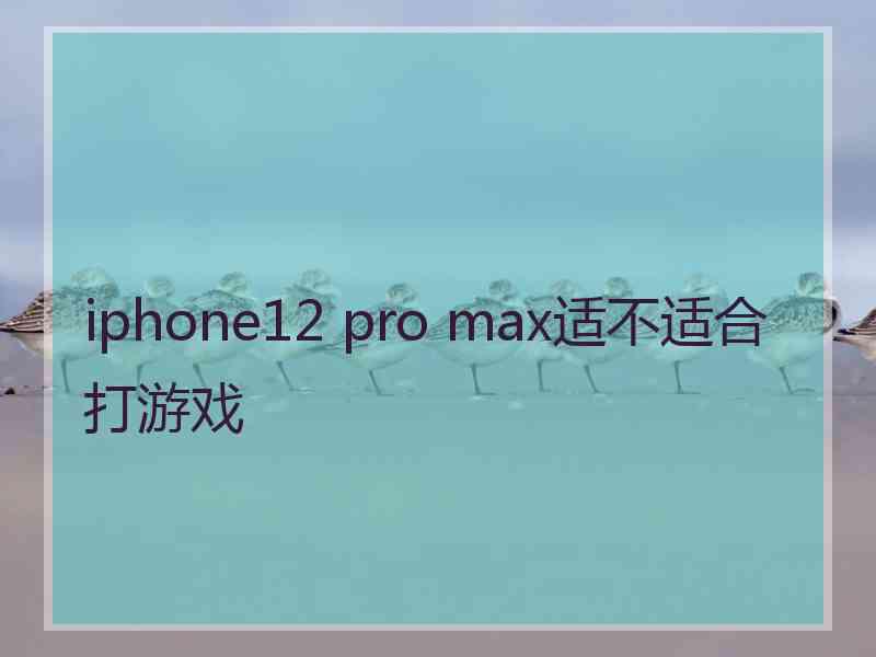 iphone12 pro max适不适合打游戏