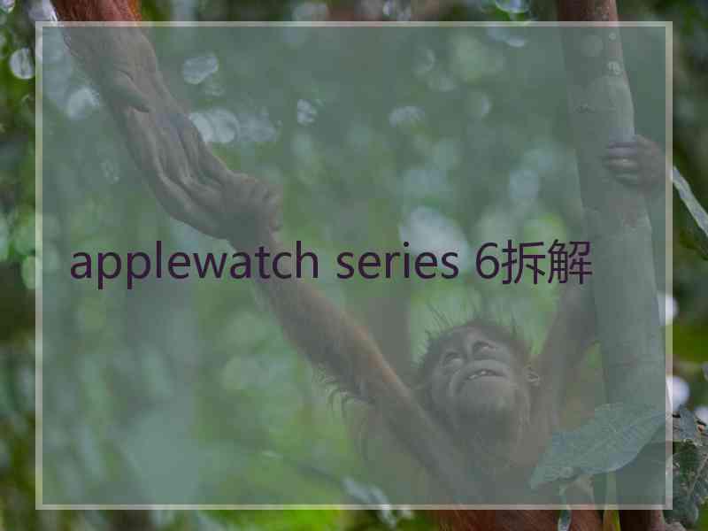 applewatch series 6拆解