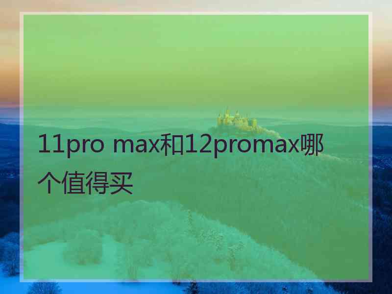 11pro max和12promax哪个值得买