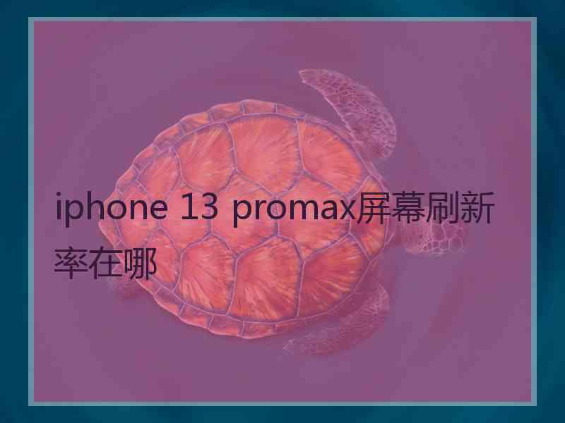 iphone 13 promax屏幕刷新率在哪