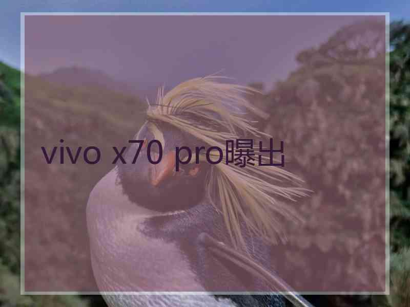 vivo x70 pro曝出