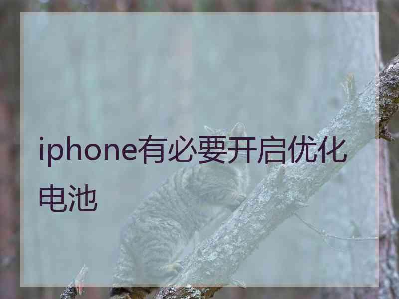 iphone有必要开启优化电池