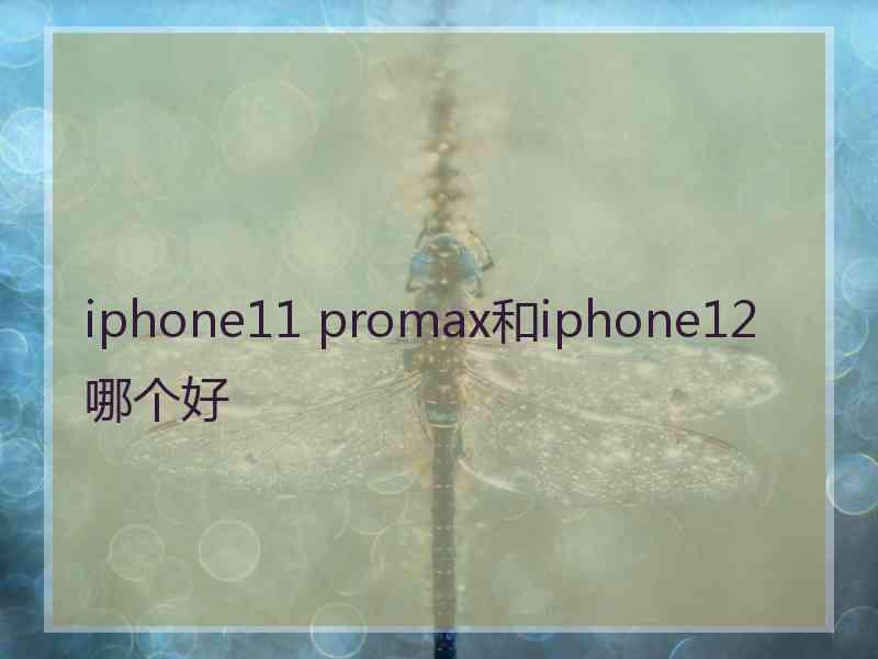 iphone11 promax和iphone12哪个好