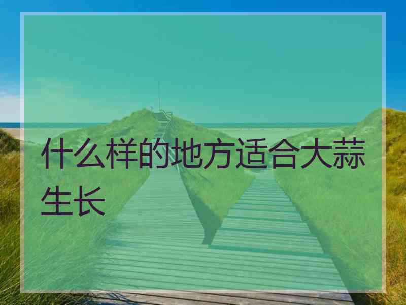 什么样的地方适合大蒜生长