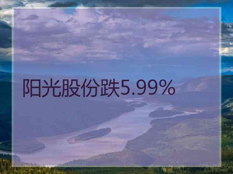 阳光股份跌5.99%