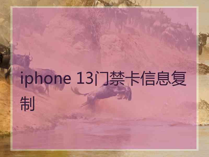 iphone 13门禁卡信息复制