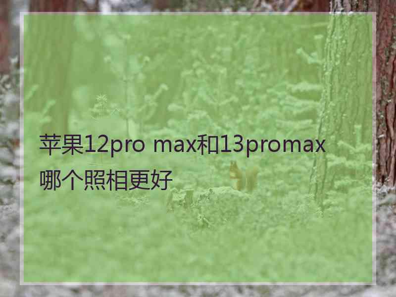 苹果12pro max和13promax哪个照相更好