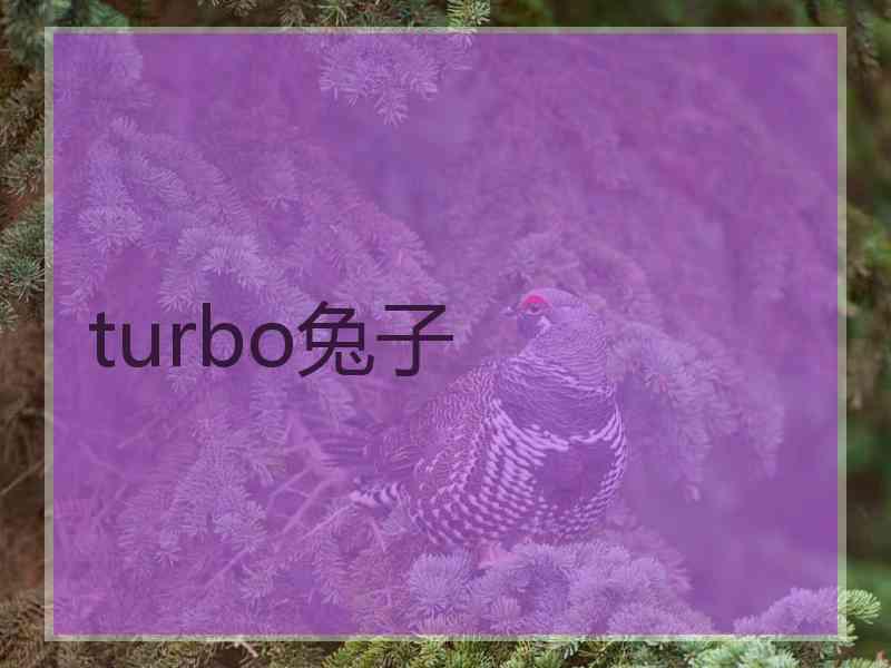 turbo兔子