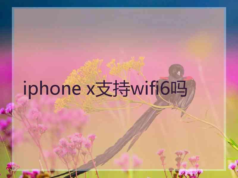 iphone x支持wifi6吗