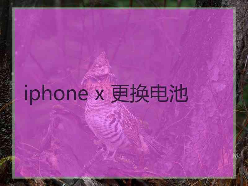 iphone x 更换电池