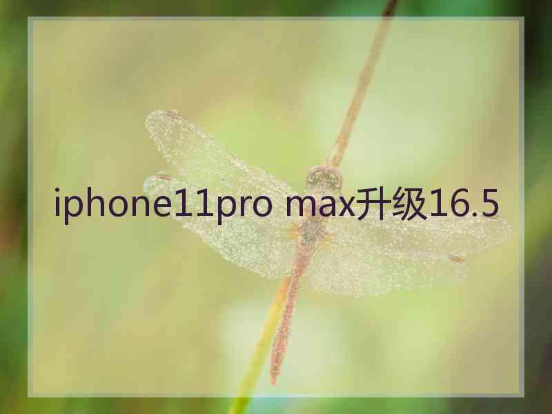 iphone11pro max升级16.5