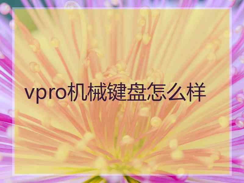 vpro机械键盘怎么样