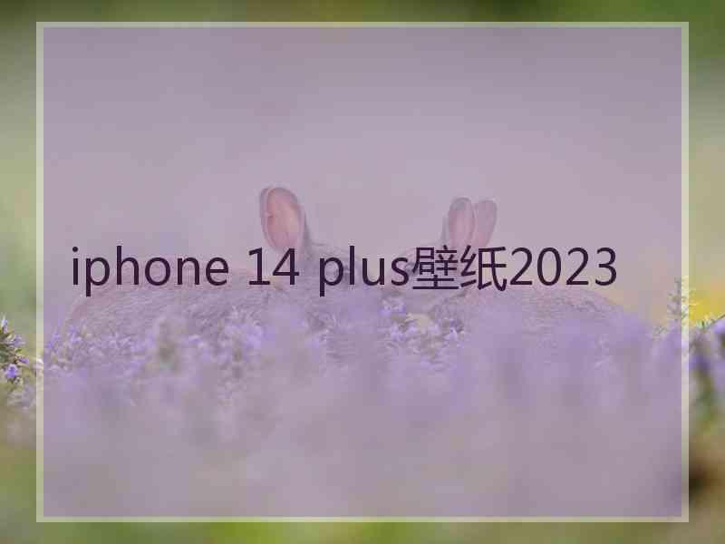 iphone 14 plus壁纸2023