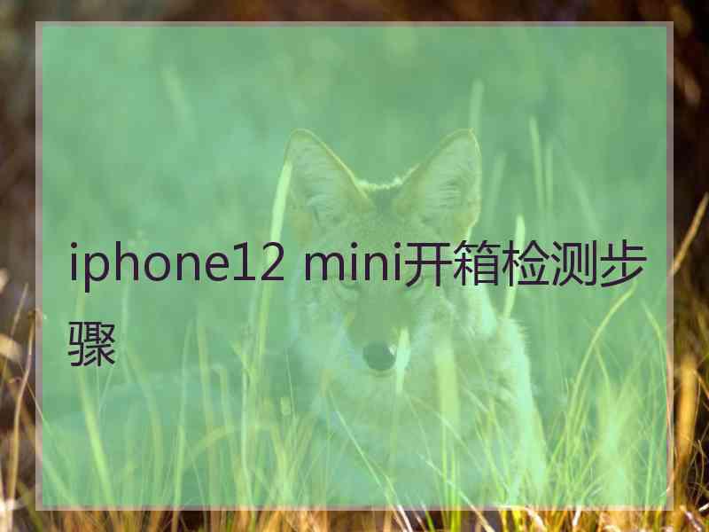 iphone12 mini开箱检测步骤