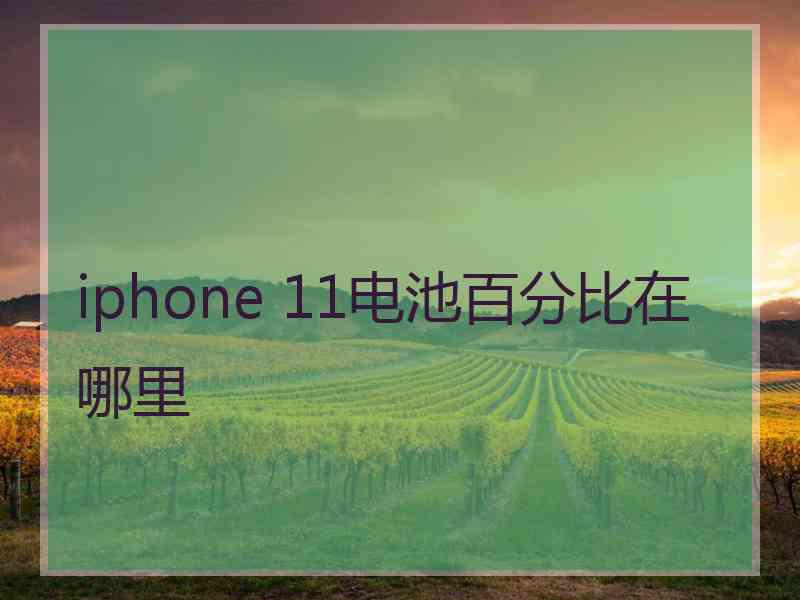 iphone 11电池百分比在哪里