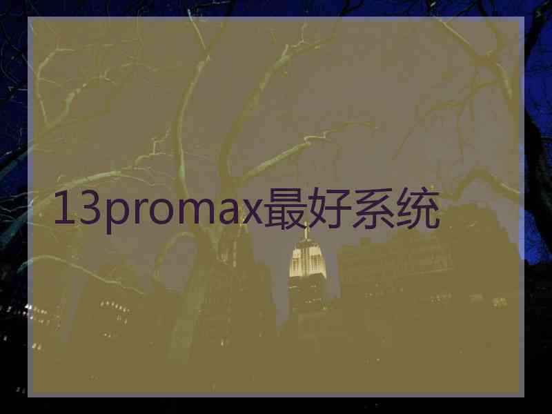 13promax最好系统