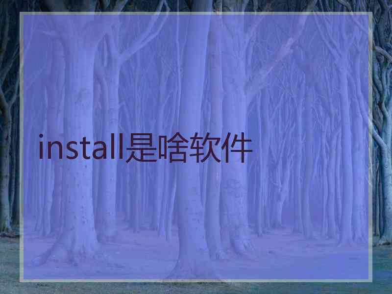 install是啥软件