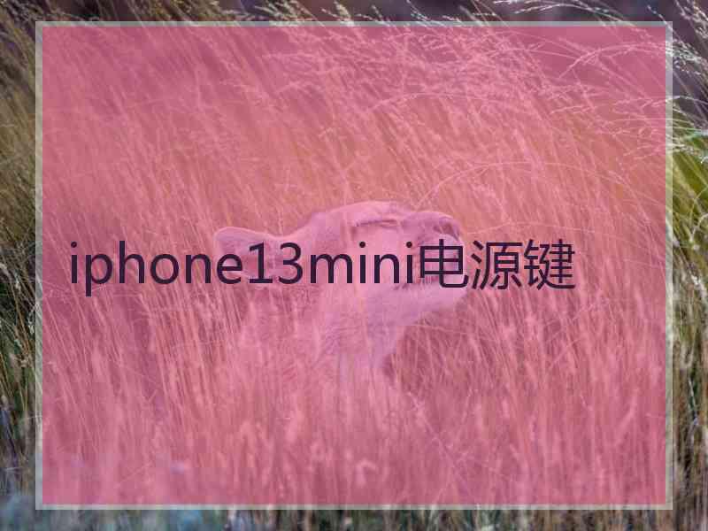 iphone13mini电源键