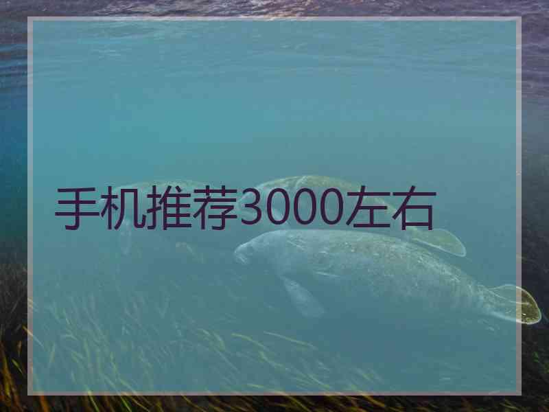 手机推荐3000左右