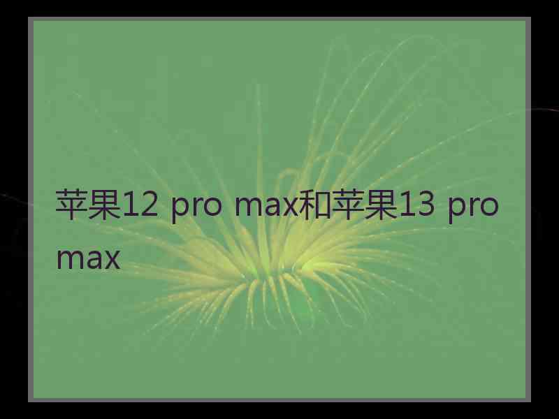 苹果12 pro max和苹果13 pro max