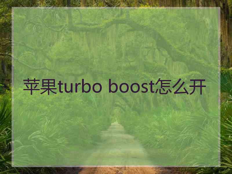 苹果turbo boost怎么开