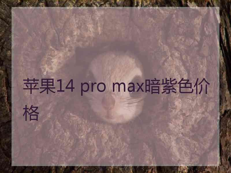 苹果14 pro max暗紫色价格